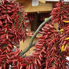 Paprikafuzer-WEB (1) | Kalocsai paprika