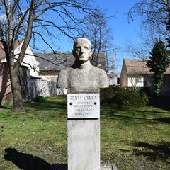 Fényi Gyula szobor | Fényi Gyula szobor
