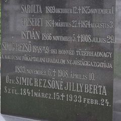 Simig Rezső családi sírja | Simig Rezső családi sírja