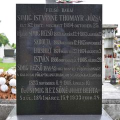 Simig Rezső családi sírja | Simig Rezső családi sírja